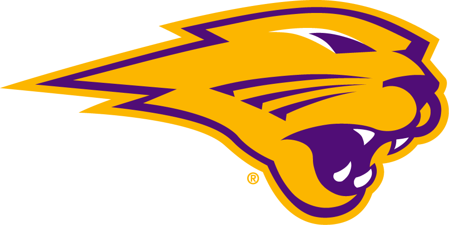 Northern Iowa Panthers 2021-Pres Secondary Logo v2 iron on transfers for T-shirts